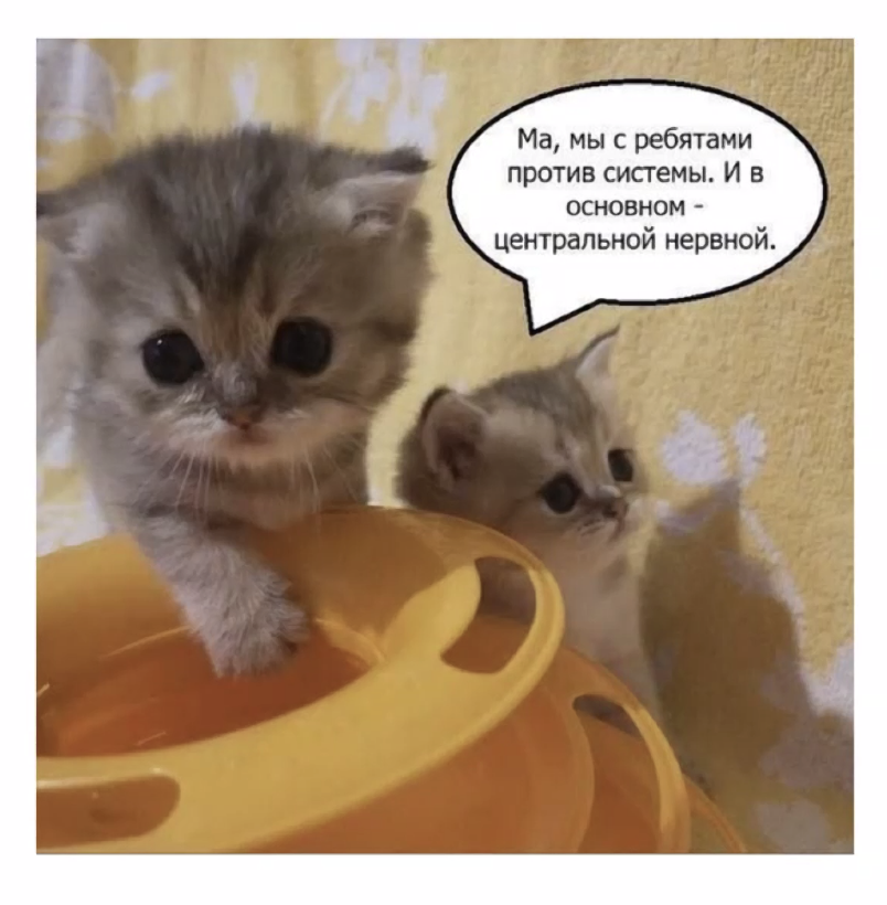 Мем про нервную систему