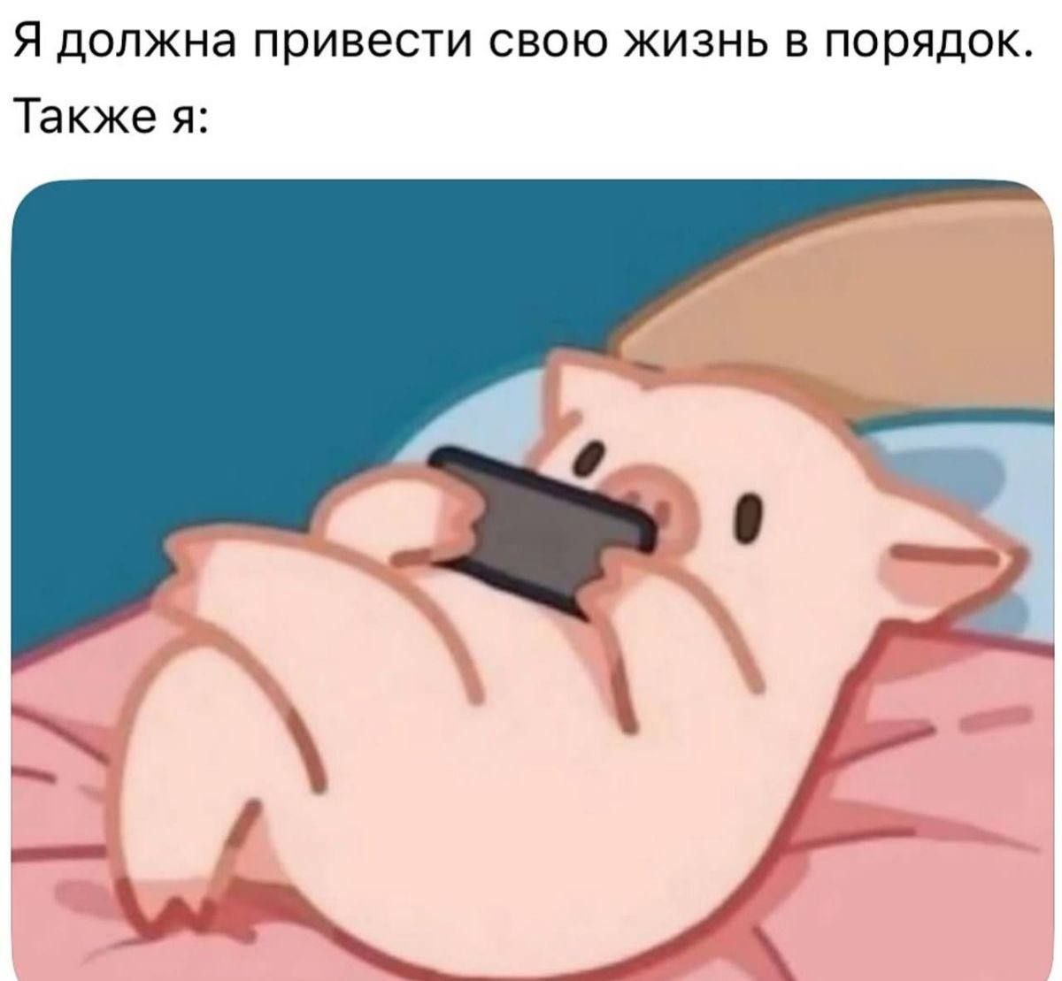 Мем про порядок в жизни